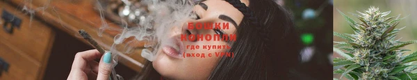 ПСИЛОЦИБИНОВЫЕ ГРИБЫ Балабаново
